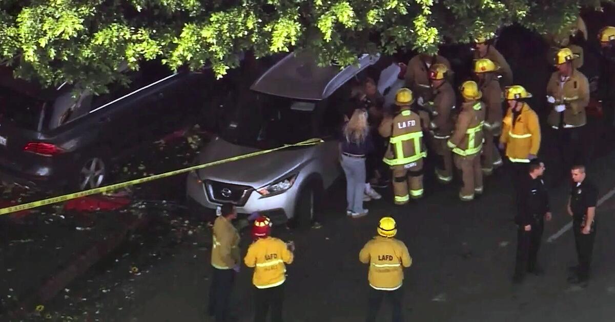 SUV barrels into downtown Los Angeles flower district vendor, injuring 6
