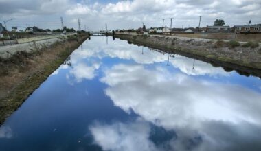 Residents who sued due to putrid Dominguez Channel smell win millions