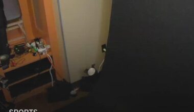 2026 Los Angeles Dodgers photo day