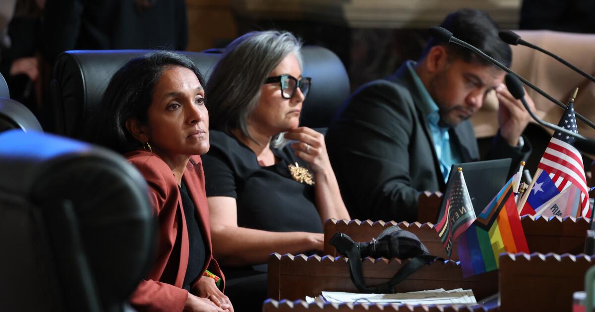 The record of Nithya Raman, L.A. mayoral candidate, may surprise you