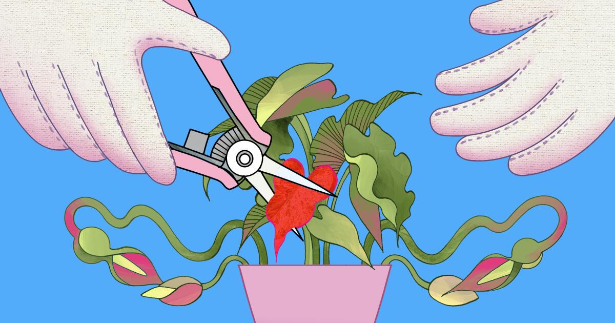 I got an abortion for a comedy career. I’m still waiting on the career