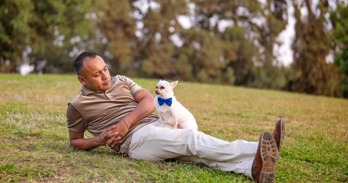 California vet loses license, accused of botched surgeries