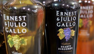 Wine giant Gallo to lay off 90, shut down a key Napa facility