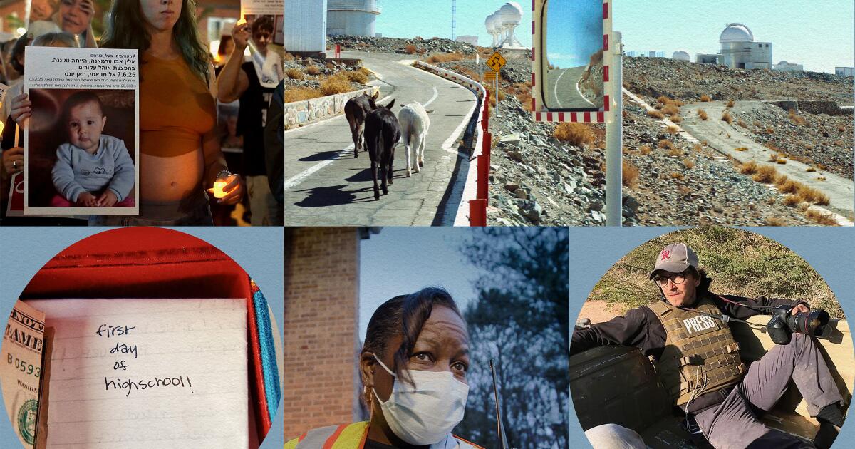 Oscars 2026: Your guide to the 5 nominated documentary shorts