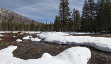 California’s warm winter has brought very little snow