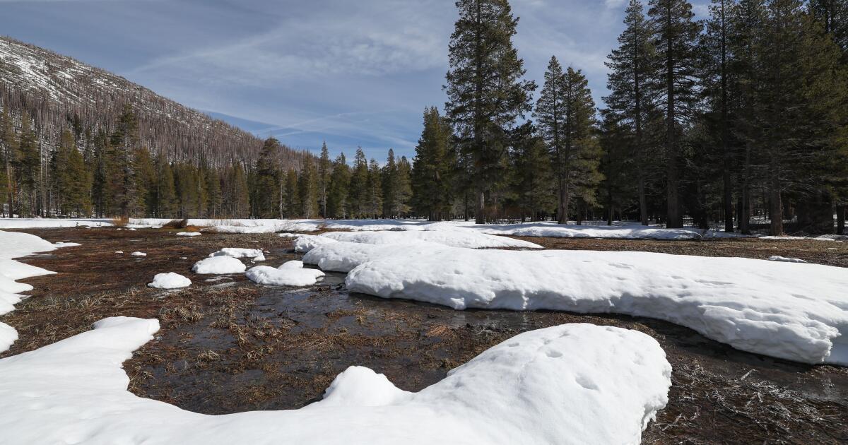 California’s warm winter has brought very little snow