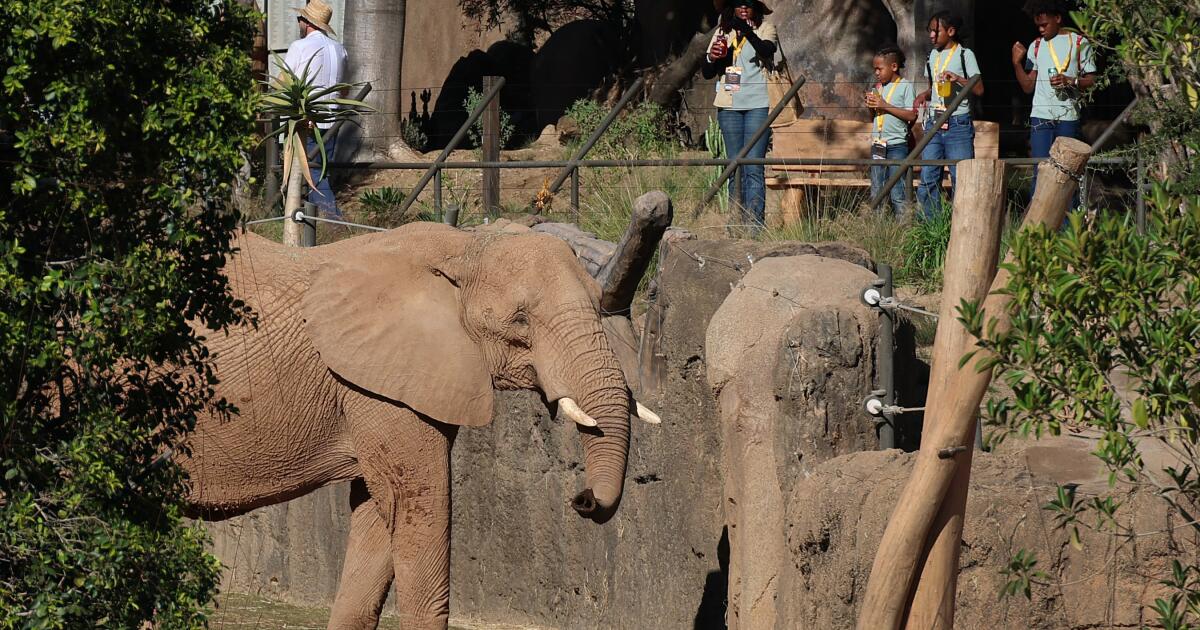 A first look at Elephant Valley inside San Diego Zoo Safari Park