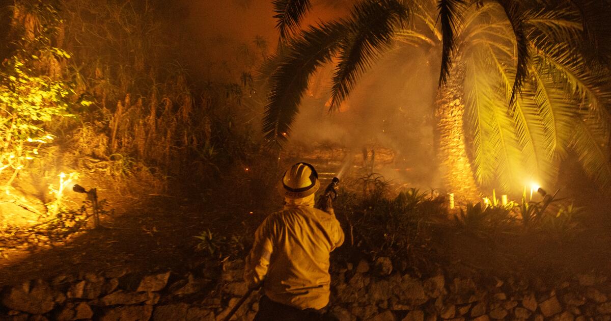 A new wedge issue appears in L.A. City Council races