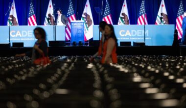 California governor candidates pitch Democrats at convention