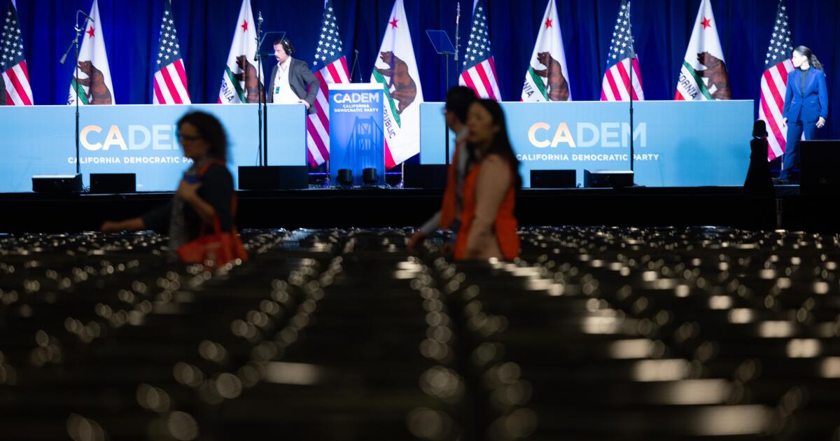 California governor candidates pitch Democrats at convention
