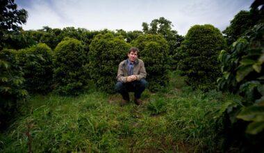 California coffee growing pioneers die of unknown causes, leaving behind 3 children