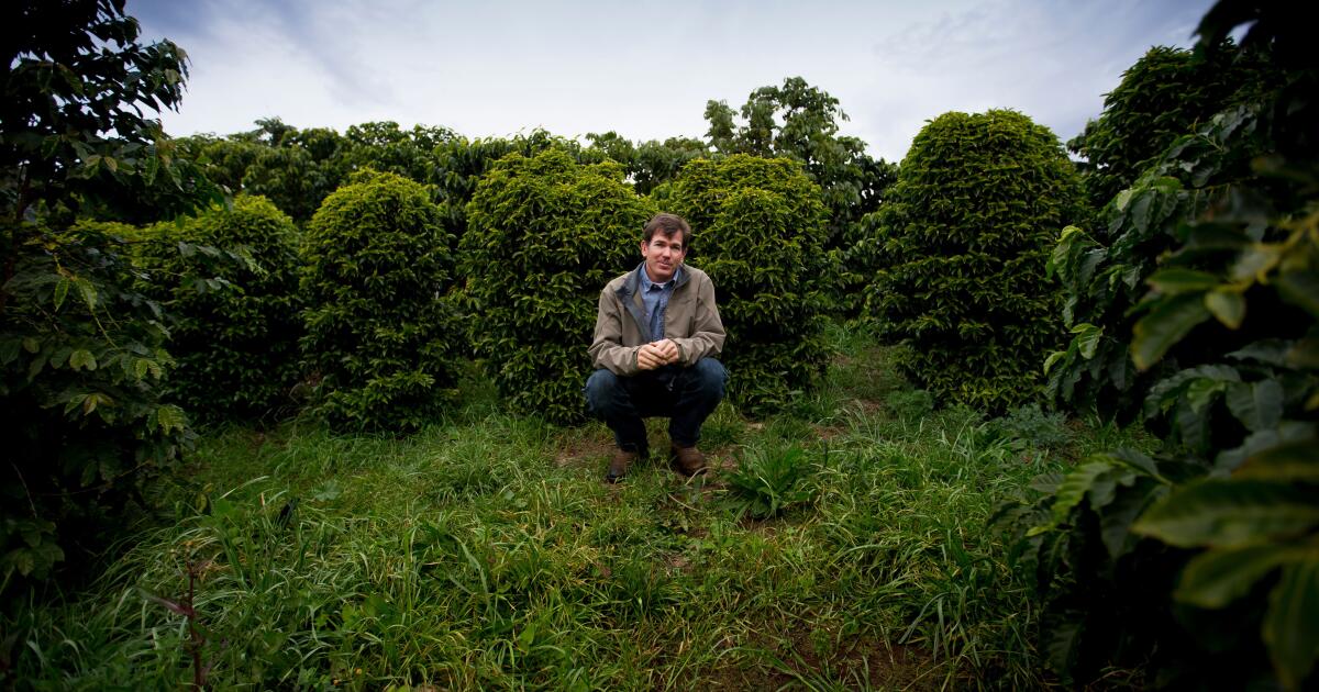 California coffee growing pioneers die of unknown causes, leaving behind 3 children