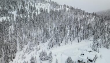 Six skiers rescued, nine others still missing after group is caught in Sierra avalanche
