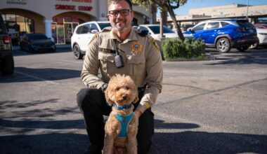 Goldendoodle abandoned at airport is adopted by cop who rescued her