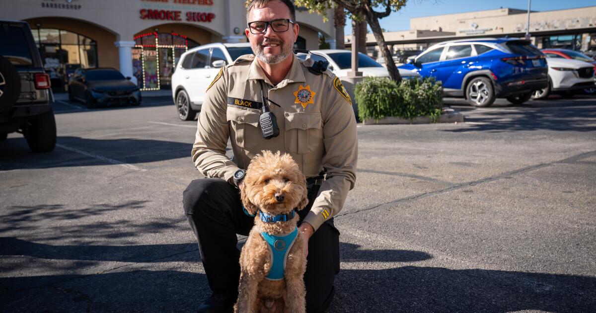 Goldendoodle abandoned at airport is adopted by cop who rescued her