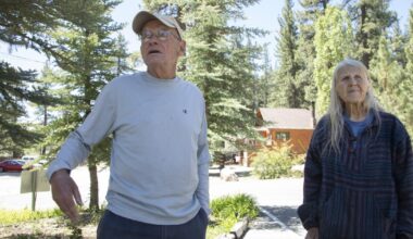Sandy Steers dies: Activist helped launch Big Bear's popular eagle cam