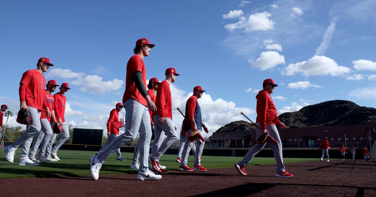 Photos: Mike Trout and the Angels begin workouts at spring training