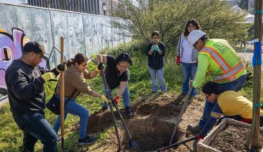 Nearly half of L.A County’s pavement may be unnecessary, new map finds