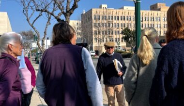 Local organization calls on Bakersfield officials to save the trees