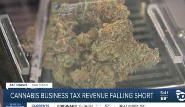 City of San Diego's cannabis tax revenue falling short