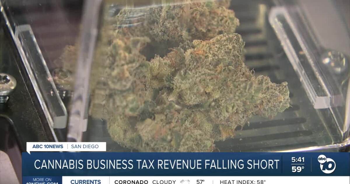 City of San Diego's cannabis tax revenue falling short