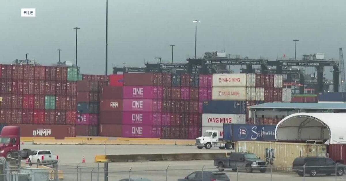 Economists warn of economic uncertainty following tariff ruling