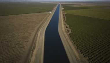 Why farmers in California are backing a giant solar farm