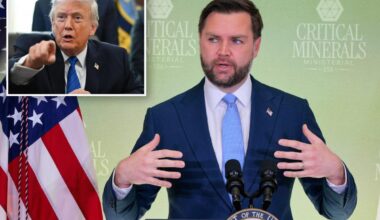 VP Vance to lead California anti-fraud task force: report