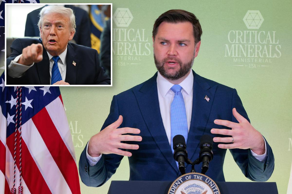 VP Vance to lead California anti-fraud task force: report