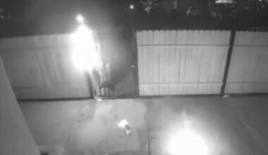 South LA mosque vandalized, set on fire