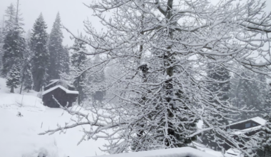 Timeline for rain, low-elevation snow