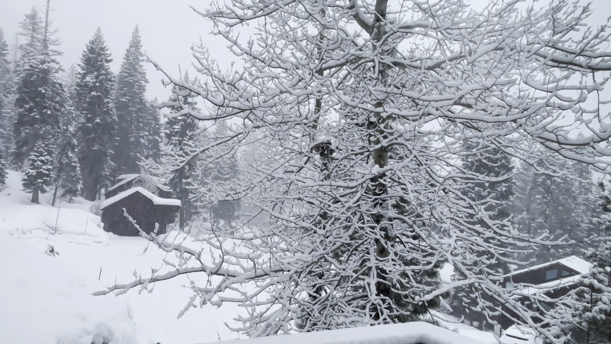 Timeline for rain, low-elevation snow