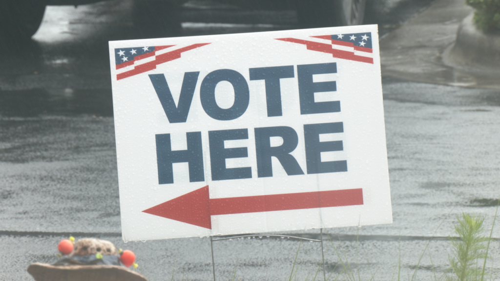 The second primary will decide the Republican candidates for lieutenant governor and state auditor. (Photo:Nate Mauldin/WWAY)