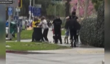 Video shows West Hollywood security ambassador punching homeless person