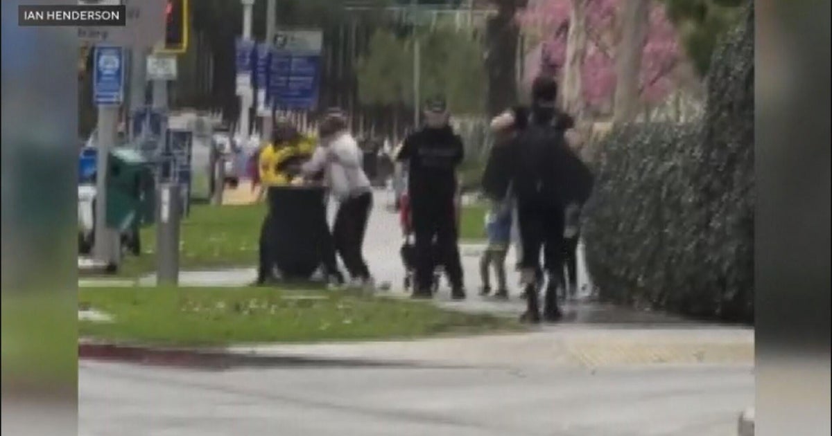 Video shows West Hollywood security ambassador punching homeless person