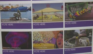 West Sacramento city workshop seeks input on public art plan