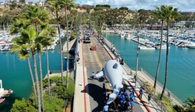 The whale-y fun ‘Magical Migration Parade’ returns to Dana Point after time off – NBC Los Angeles