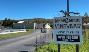 Live music approved at San Diego County wineries – NBC 7 San Diego