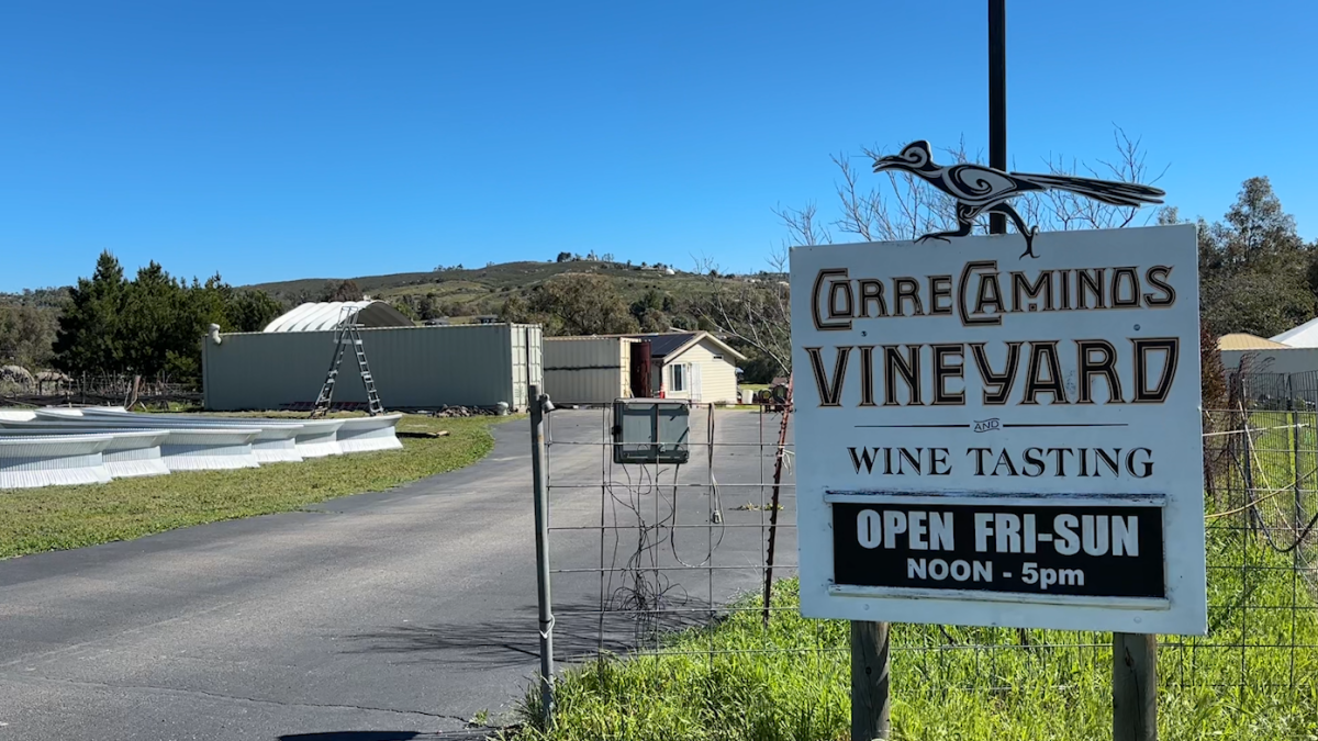 Live music approved at San Diego County wineries – NBC 7 San Diego