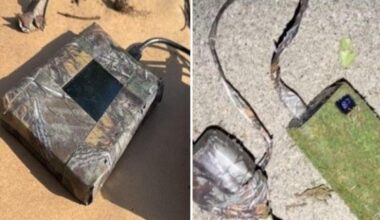 San Jose neighborhood on edge after secret cameras found in bushes