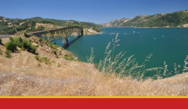 Trackdown Management's Picking up the Pieces