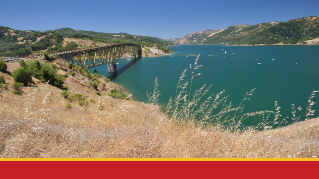 Trackdown Management's Picking up the Pieces