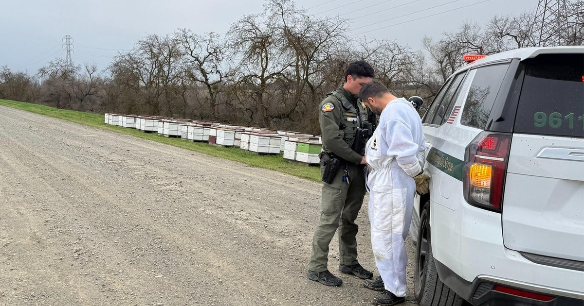 Beehives stolen from Central California recovered in Yolo County, suspect arrested