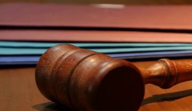 Judge calls ICE detention of Russian Diamond Heights nanny ‘inexplicable’ – NBC Bay Area