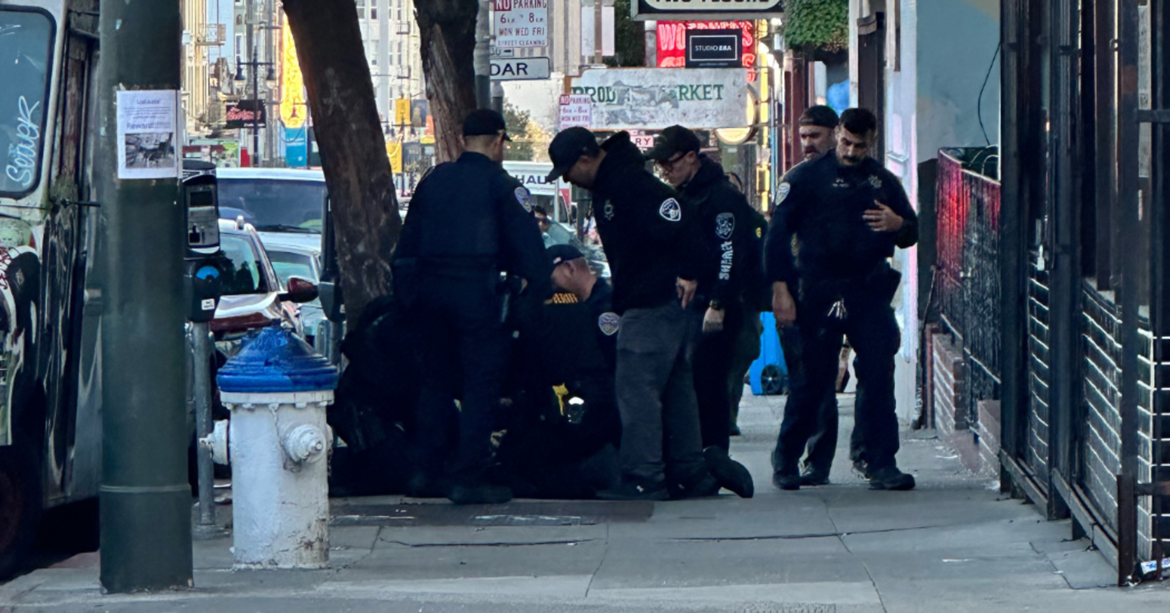 Several police officers apprehend a person on a city sidewalk near parked cars and a blue-capped fire hydrant under a “No Parking” sign.