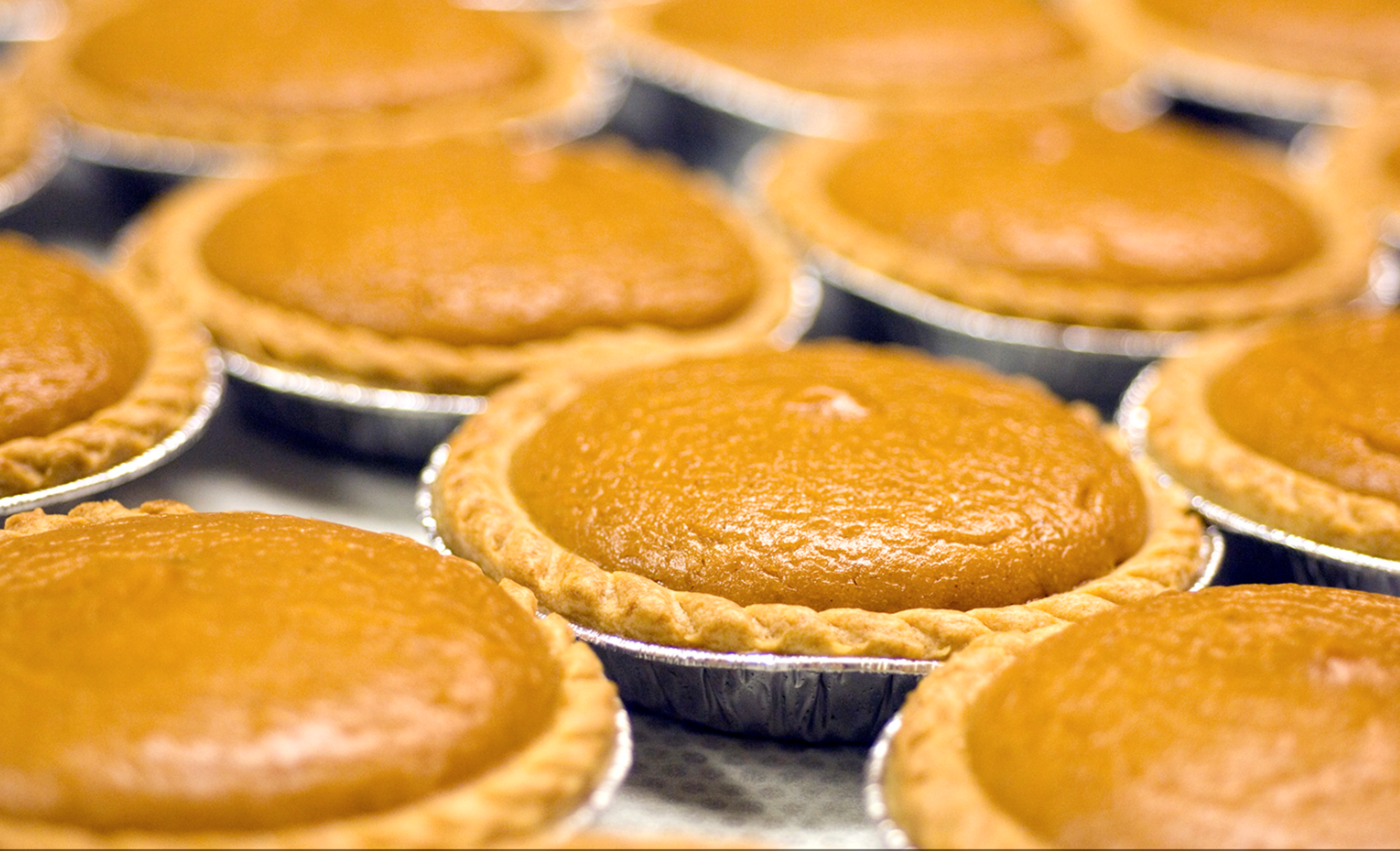 Small pumpkin pies with golden crusts are arranged closely together in foil tins.