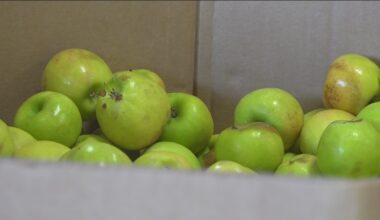 San Diego braces for CalFresh cuts affecting refugees, non-citizens