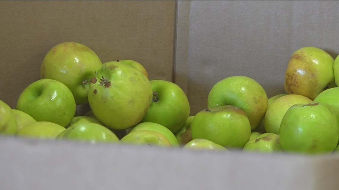 San Diego braces for CalFresh cuts affecting refugees, non-citizens