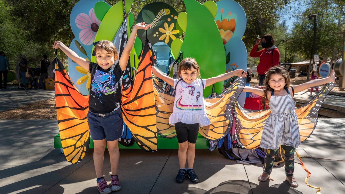 Kidspace’s charming ‘Butterfly Season’ flutters into its 30th anniversary – NBC Los Angeles