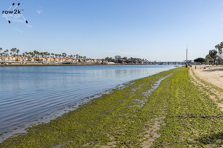 The tide swings are fairly serious